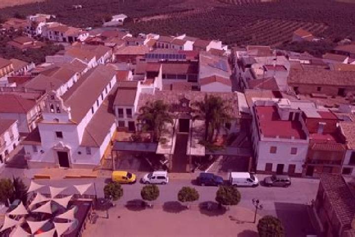 escort San Sebastian de los Ballesteros