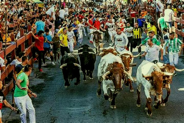 escort San Sebastian de los Reyes