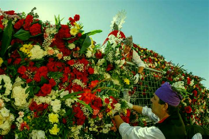 escort San Vicente de Flores