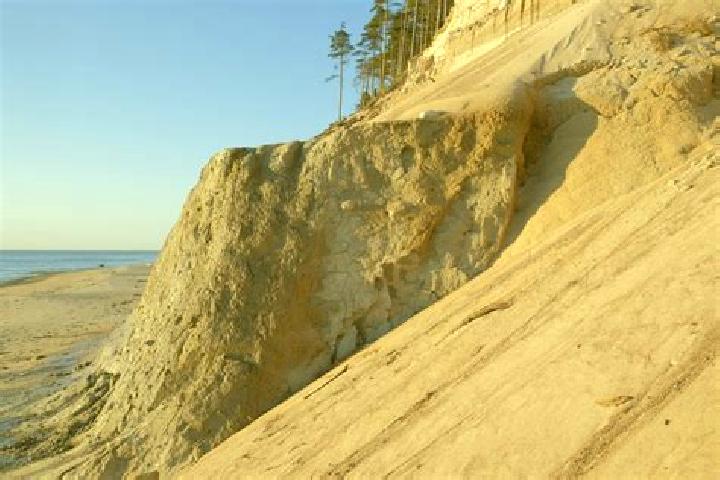 escort Sand Bluff