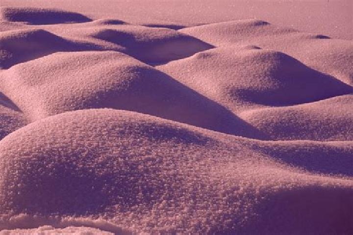 escort Sand Hill