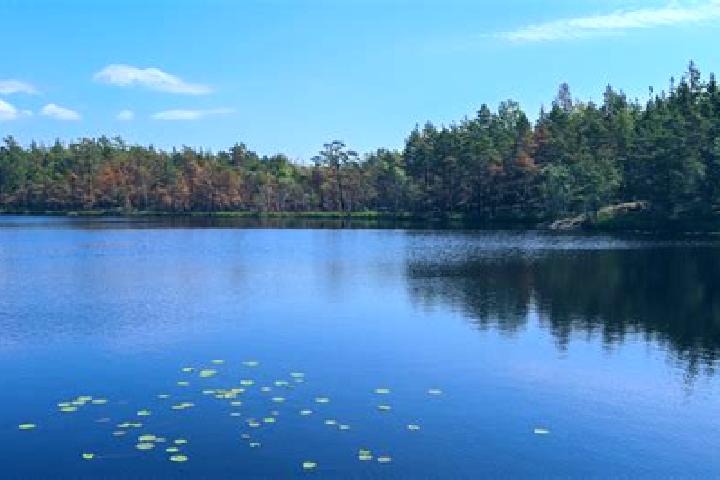escort Sand Lake