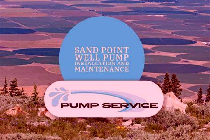 escort Sand Point