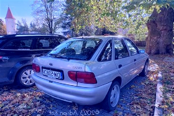 escort Sandstedt