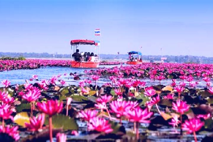 escort Sang Khom