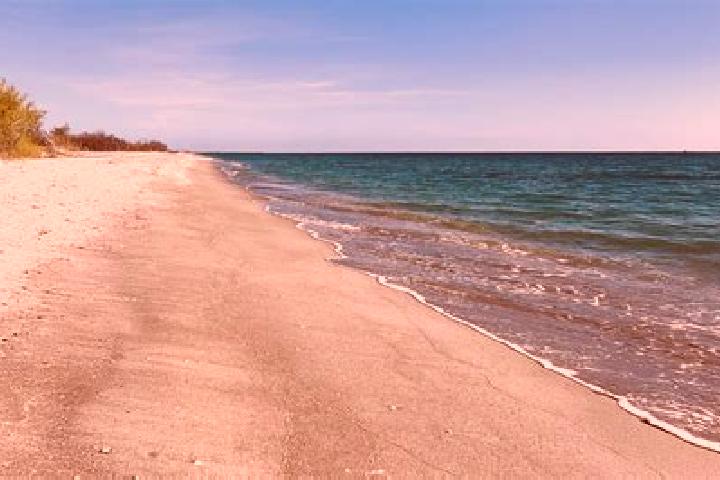 escort Sanibel