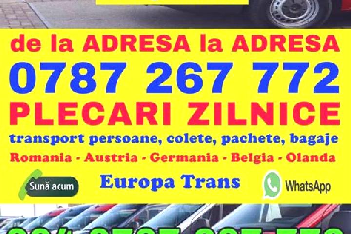 escort Sanpetru German