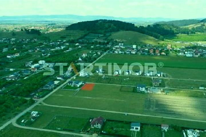 escort Sanpetru Mic