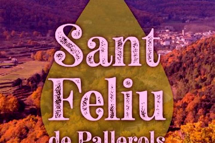 escort Sant Feliu de Pallerols