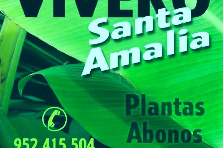 escort Santa Amalia