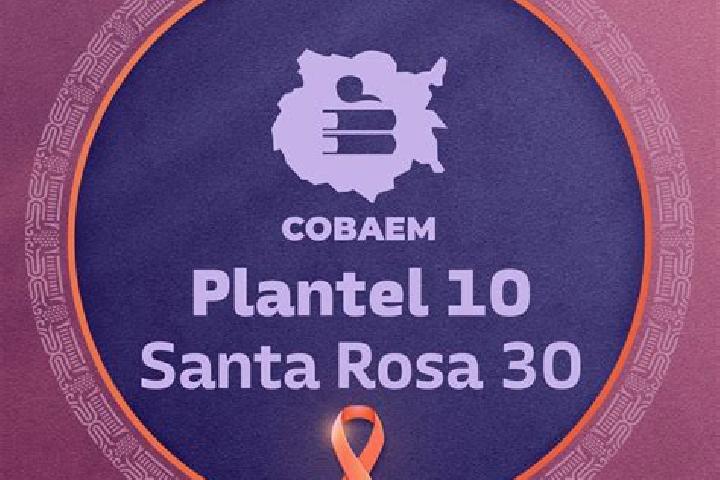 escort Santa Rosa Treinta
