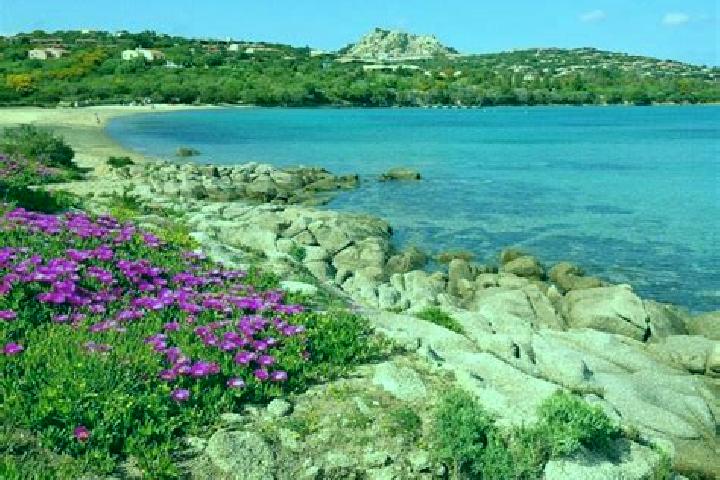 escort Sant Antonio di Gallura