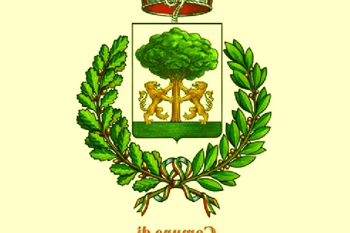 escort Sant Egidio del Monte Albino