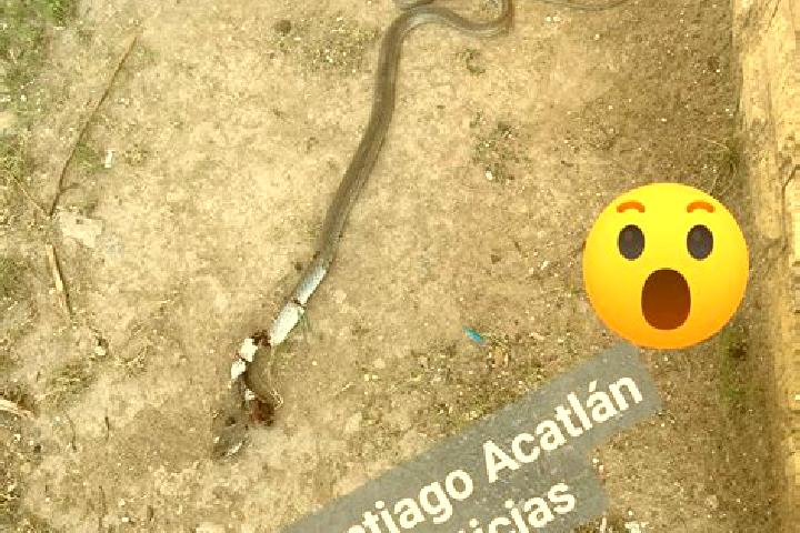 escort Santiago Acatlan