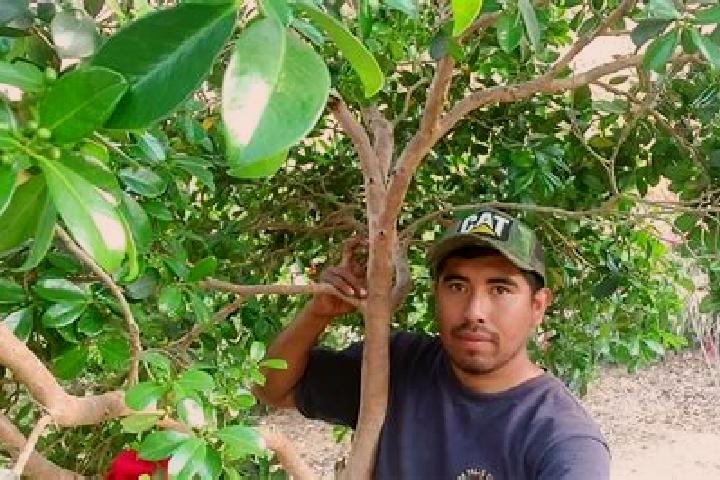 escort Santiago Sochiltepec