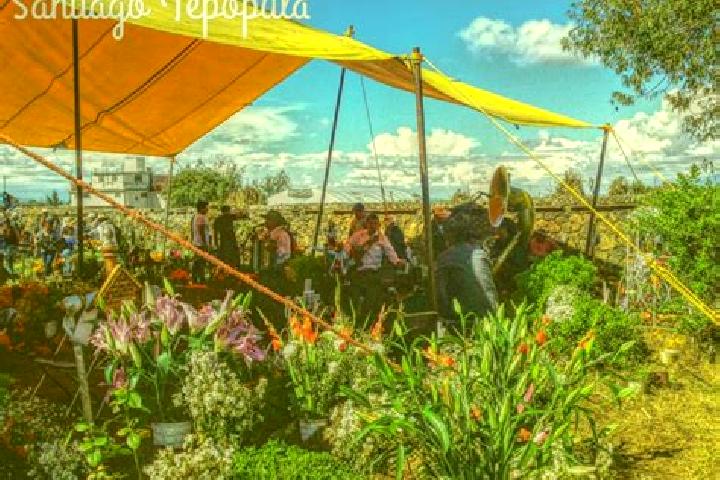 escort Santiago Tepopula