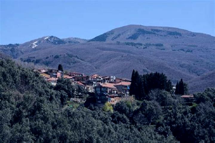 escort Santo Stefano in Aspromonte