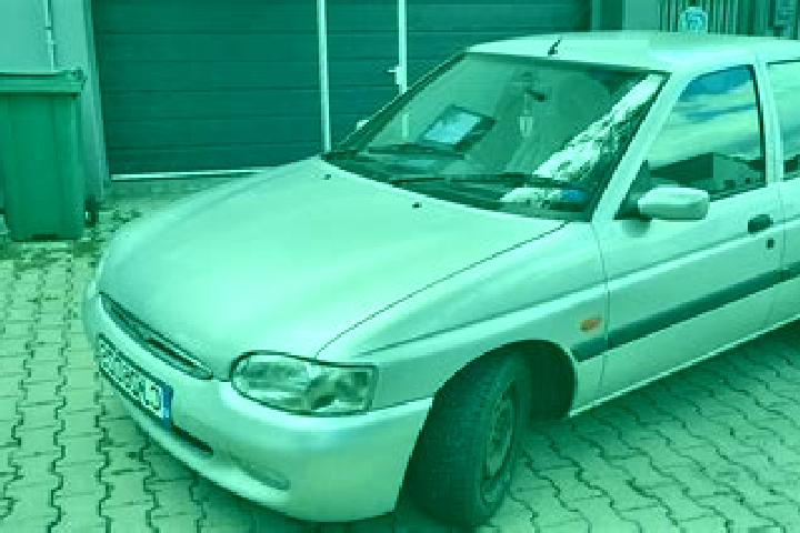escort Santu Floresti