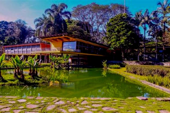escort Sao Jose do Campestre