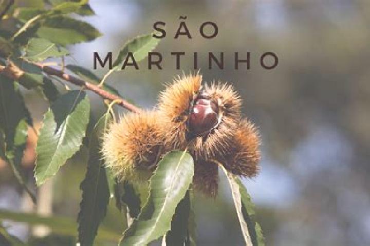 escort Sao Martinho da Serra