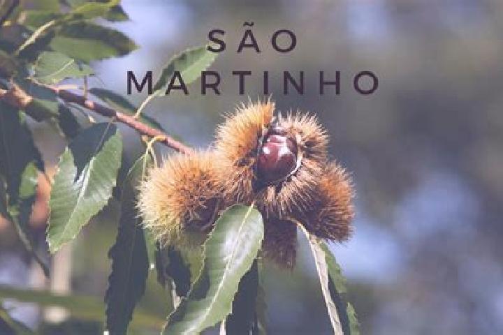 escort Sao Martinho