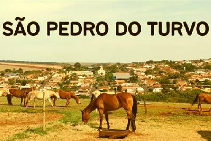 escort Sao Pedro do Turvo