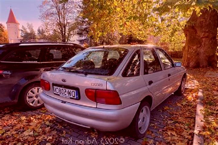 escort Sargenai