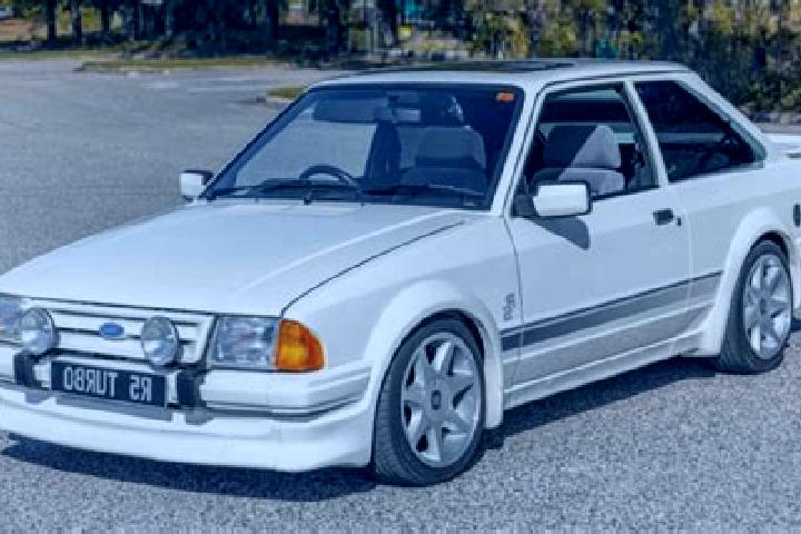 escort Sargstedt