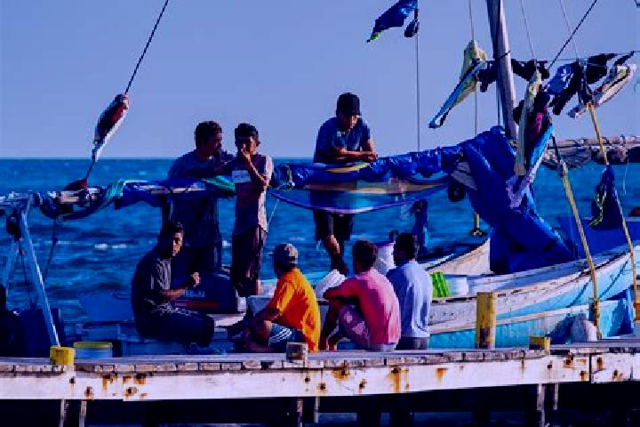 escort Sarteneja