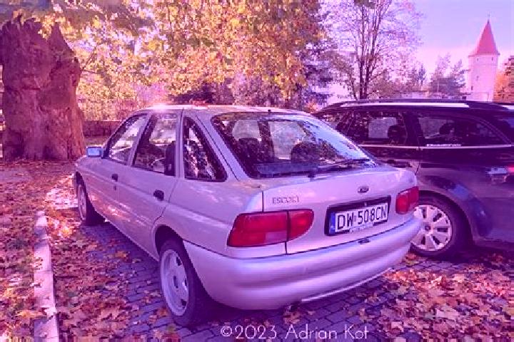 escort Sarzbuttel