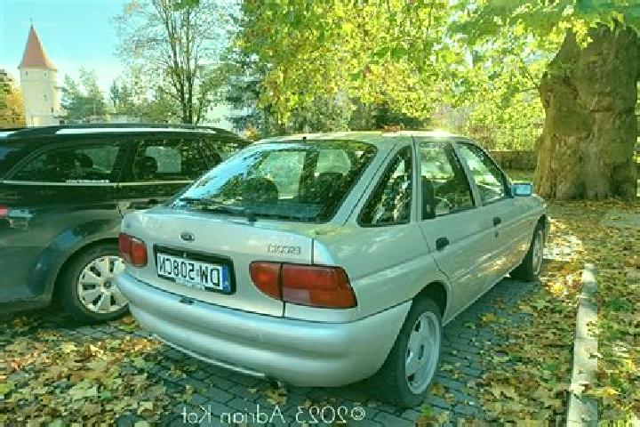 escort Saschiz