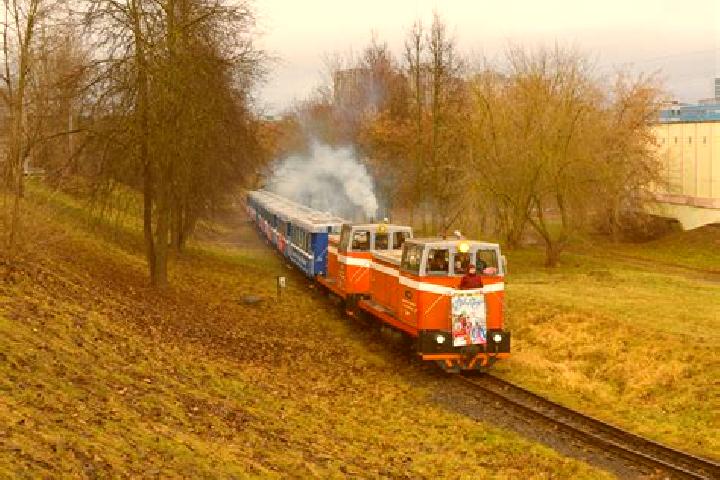 escort Sasnovy Bor