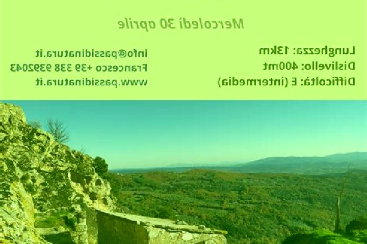 escort Sassofortino