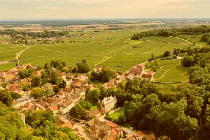escort Saulon-la-Chapelle