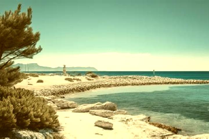 escort Sausset-les-Pins