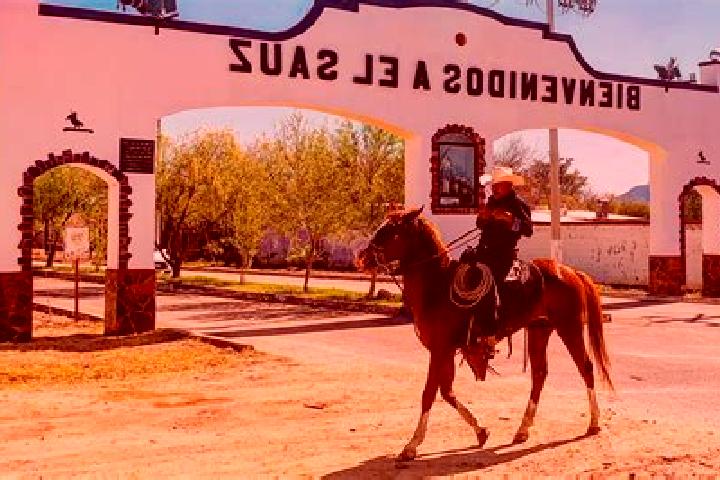 escort Sauz de San Lucas (El Sauz)