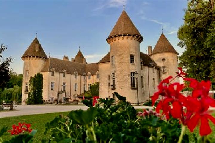 escort Savigny-les-Beaune
