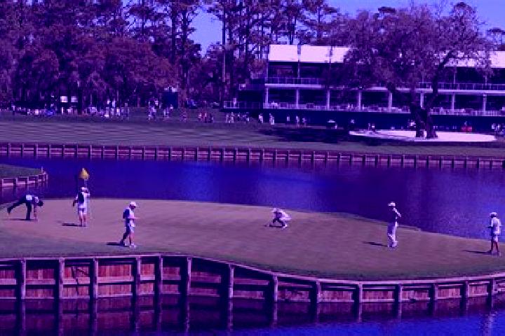 escort Sawgrass