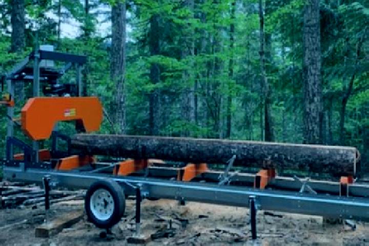 escort Sawmill