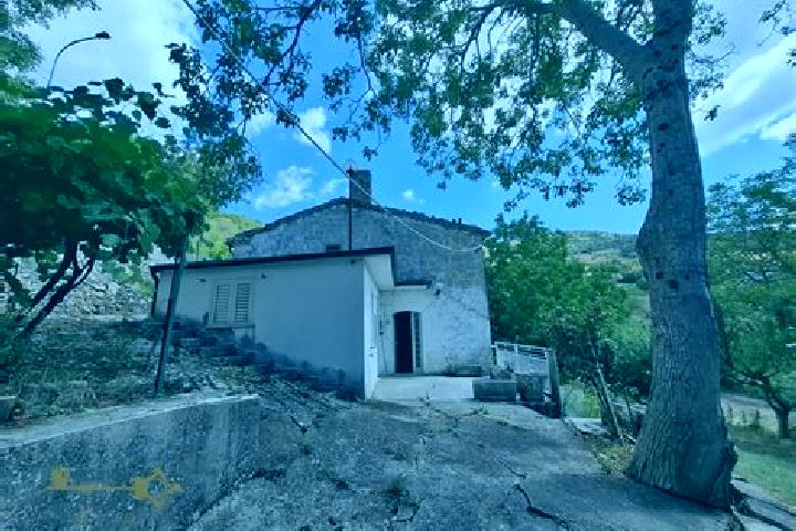 escort Schiavi di Abruzzo