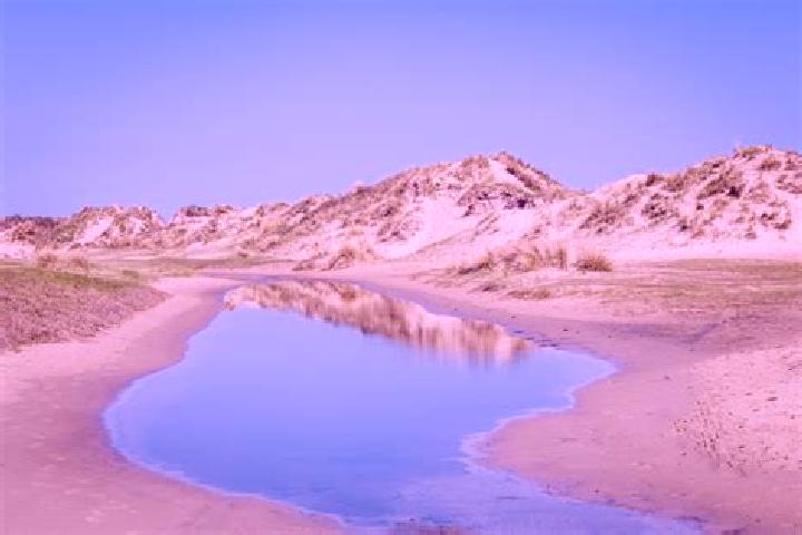 escort Schiermonnikoog