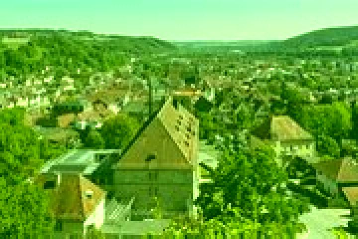 escort Schneckenlohe