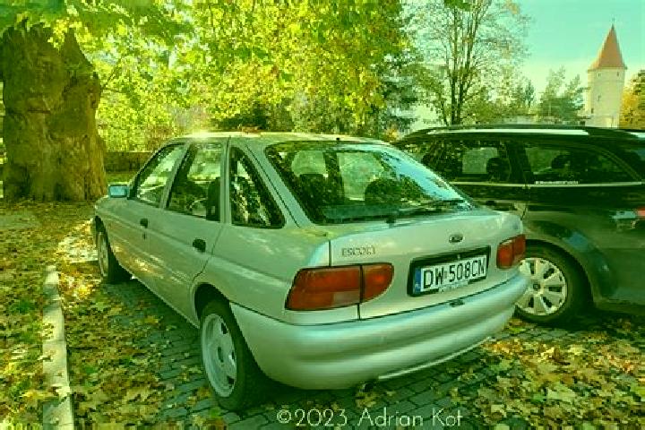 escort Schoemberg