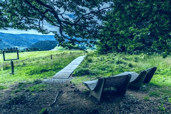 escort Schoenau im Schwarzwald
