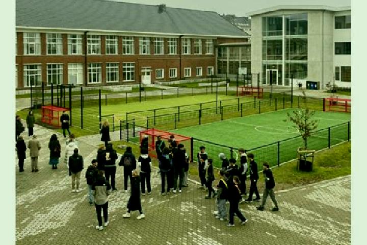 escort Scholen
