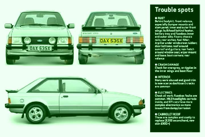 escort Schoonaarde