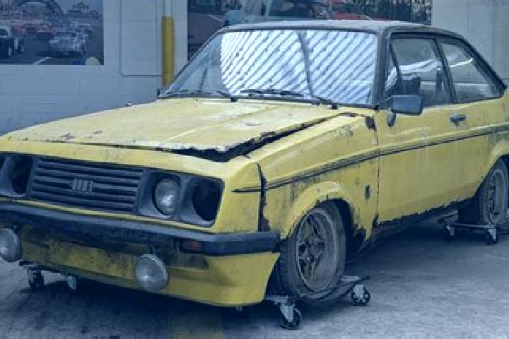 escort Schriesheim