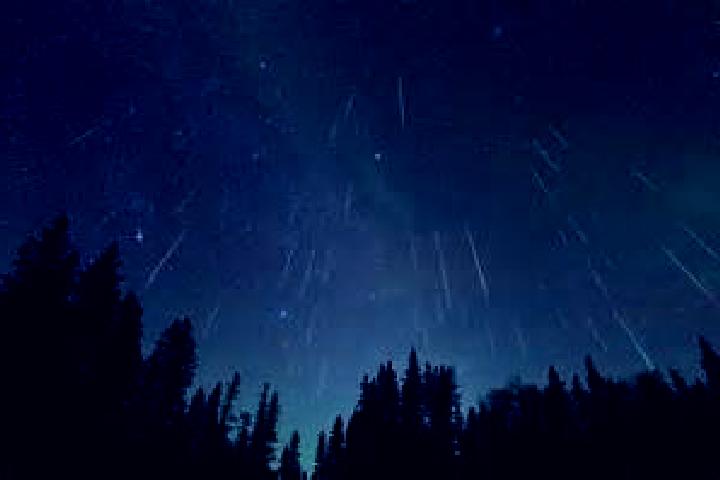 escort Schwabach