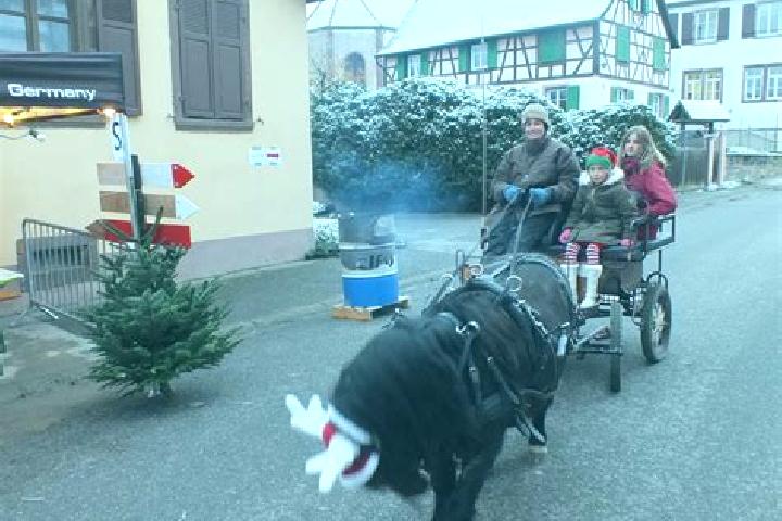 escort Schwenheim