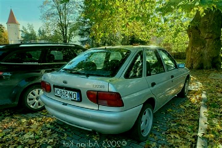 escort Scitarjevo
